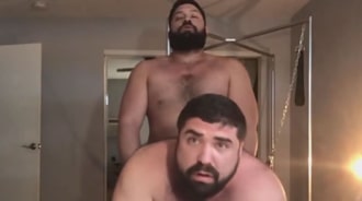 Deux ours très affectueux