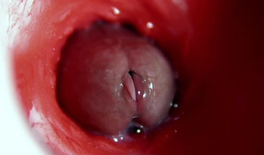 Follada anal gay vista desde dentro